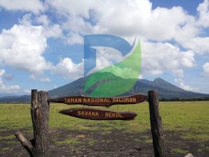 Read more about the article Pesona Padang Savana Banyuwangi yang Menakjubkan