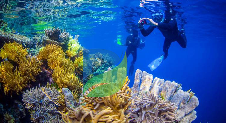 You are currently viewing Tempat Snorkeling Terbaik di Indonesia yang Wajib Dikunjungi