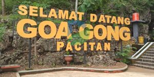 Read more about the article Goa di Pacitan yang Menarik untuk Dijelajahi