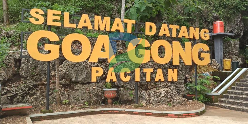 You are currently viewing Goa di Pacitan yang Menarik untuk Dijelajahi