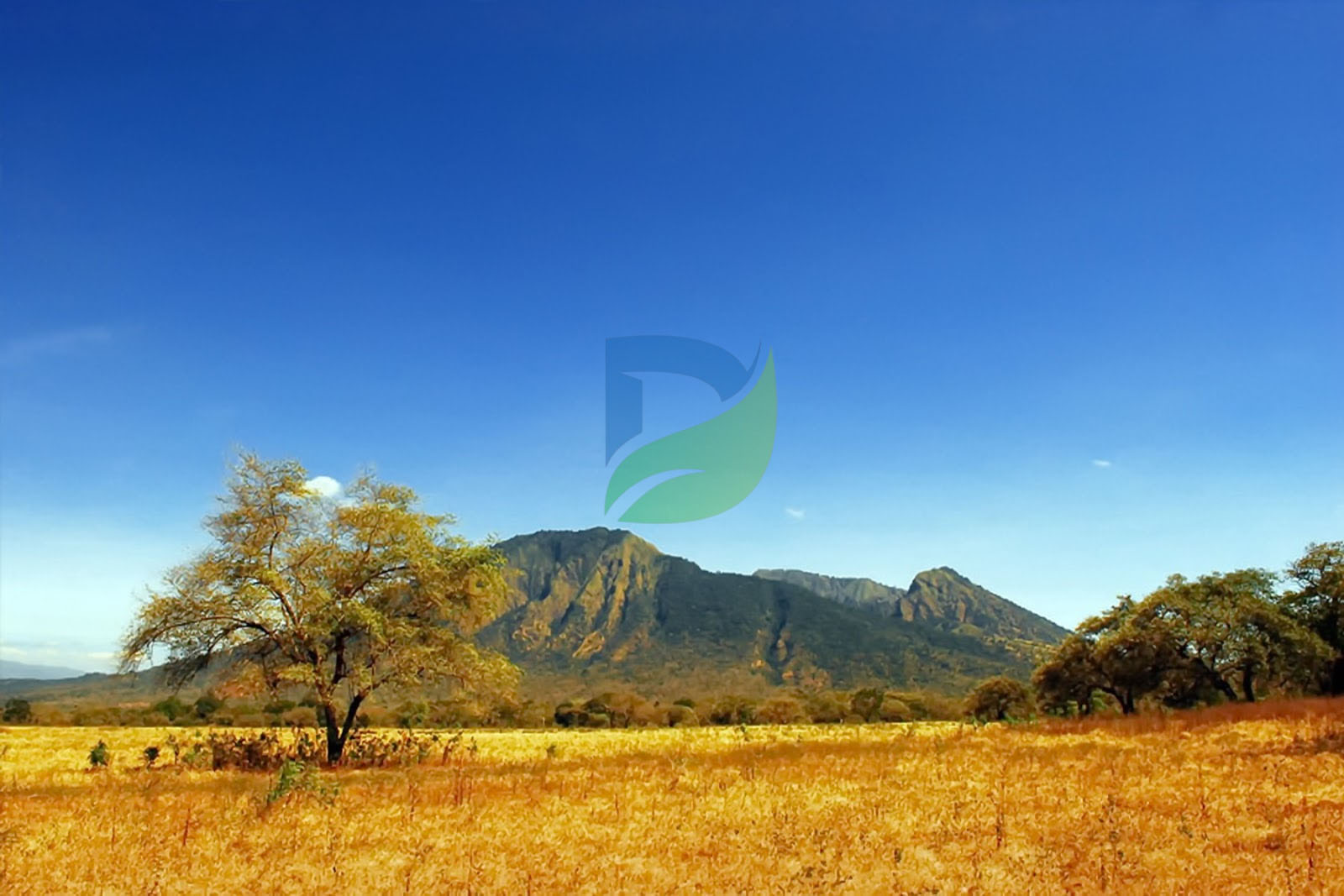 You are currently viewing Keindahan Taman Nasional Jawa Timur yang Menakjubkan