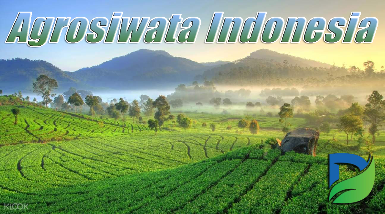 You are currently viewing Menjelajah Keindahan Agrowisata  Lewat Wisata Pertanian